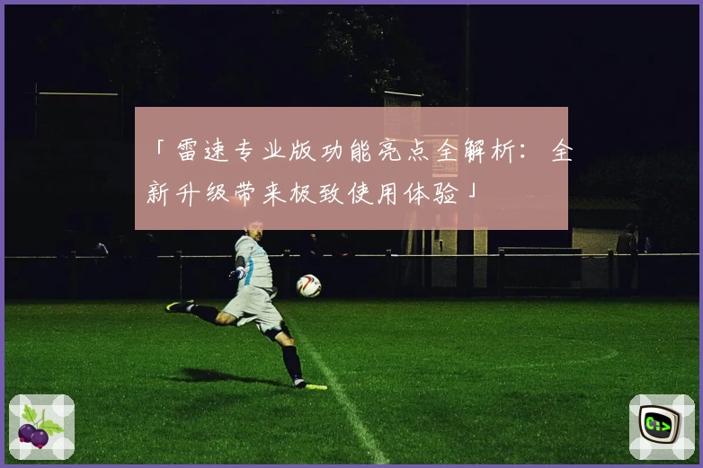 「雷速专业版功能亮点全解析：全新升级带来极致使用体验」